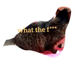 679239730