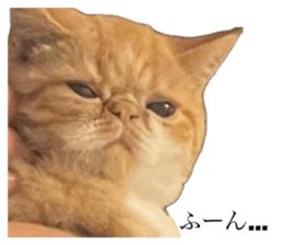 679241766