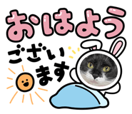 679242246