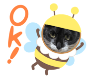 679242250