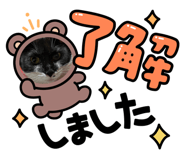 679242256