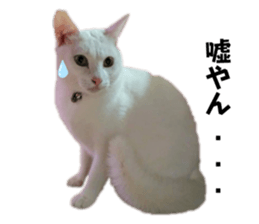 679266158