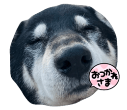 679274306