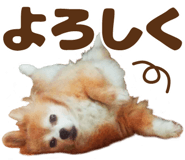 679296803