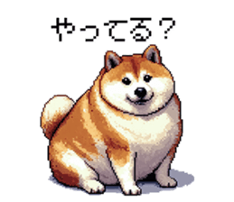 679302502
