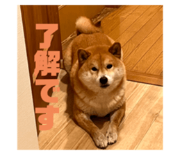 679325074