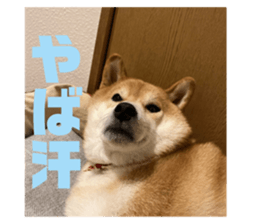679325078
