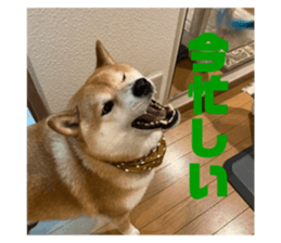 679325081
