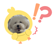 679328731
