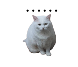 679367094