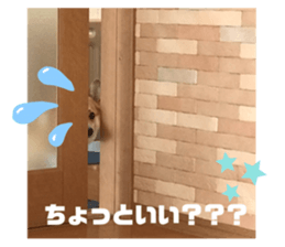 679391407