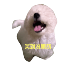 679404037