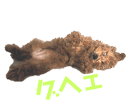 679428147