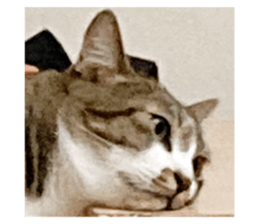 679443512