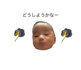 679460254