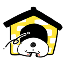 6794846