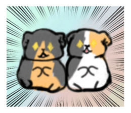 679507970