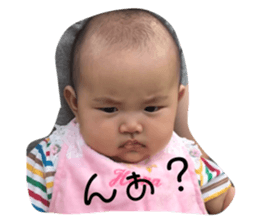 67953115