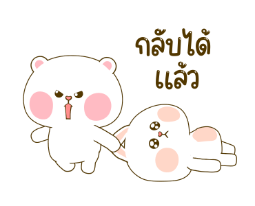 ลายที่ 23