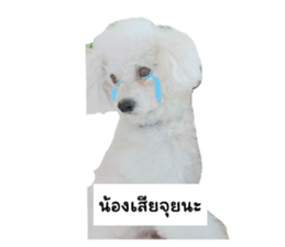 679571538