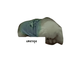 679571557
