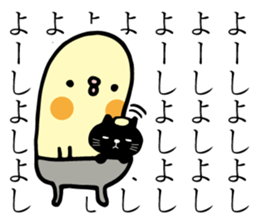 68037555