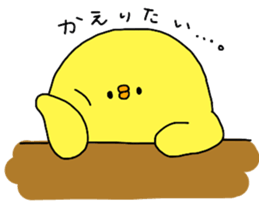 6804033