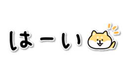 68069683