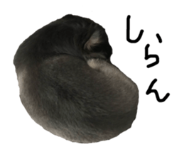 68096488