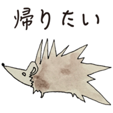 6811268
