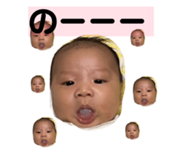 68116137