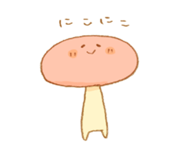 6813530