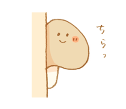 6813550