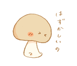 6813554