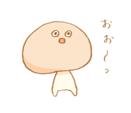 6813558