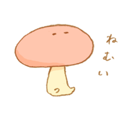 6813564