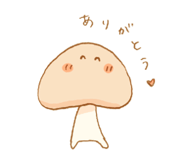 6813566