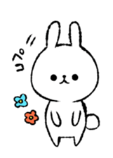 68178062