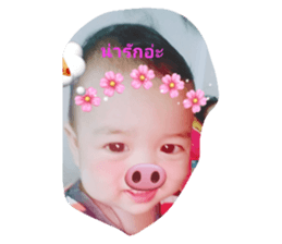 68183734