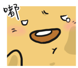 68204868