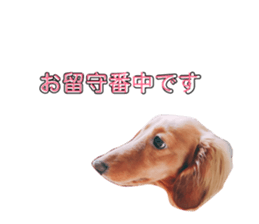 68305784