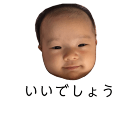68325600