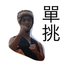 68378572