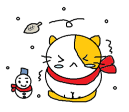 6843127