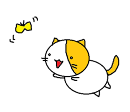 6843130