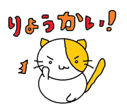 6843137