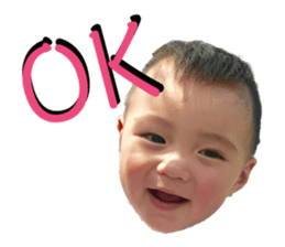 68483653