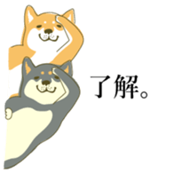 6850596
