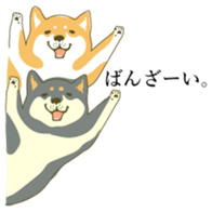 6850605