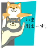 6850619